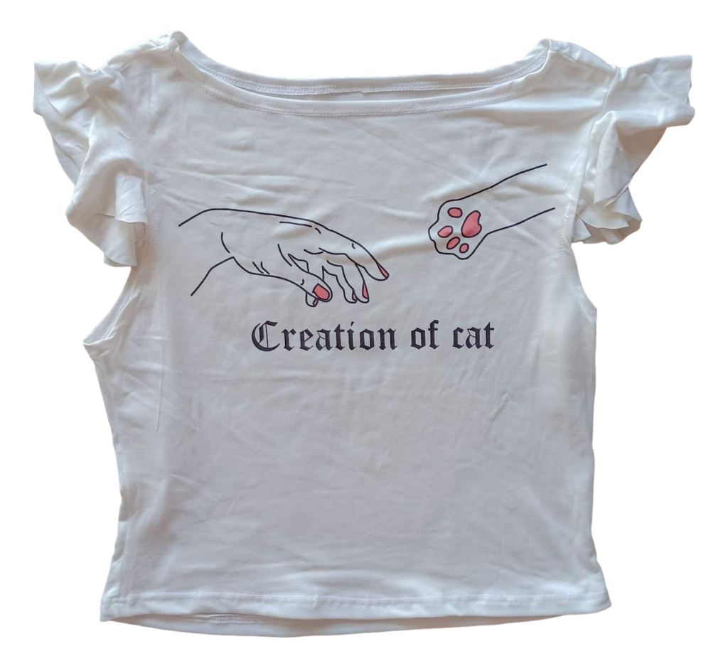Creation Of Cats